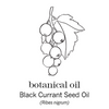 BLACK CURRANT SEED BSBS